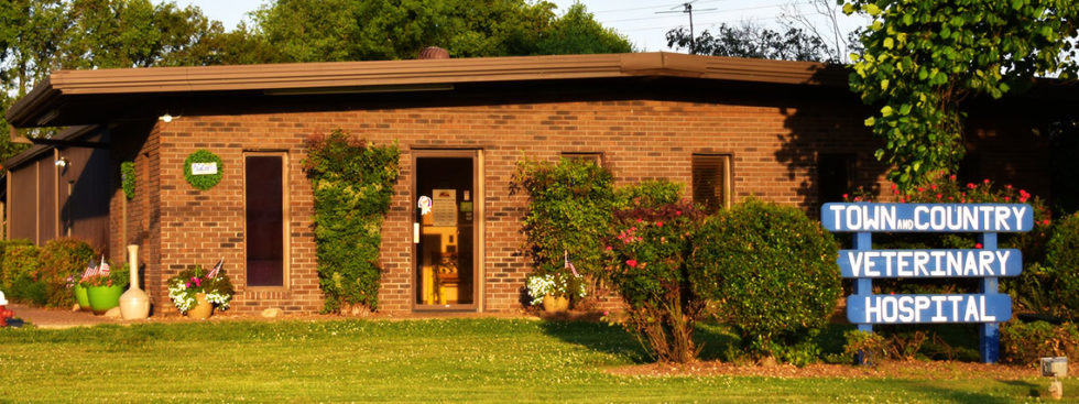 Best Vet Hospital in Winchester, TN | Town and Country